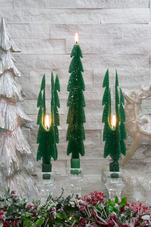 Green Trees with Snow