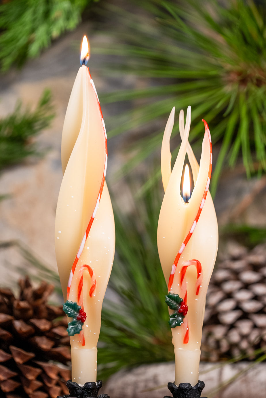 Candy Cane Edged Ivory Silhouette Beeswax Candles