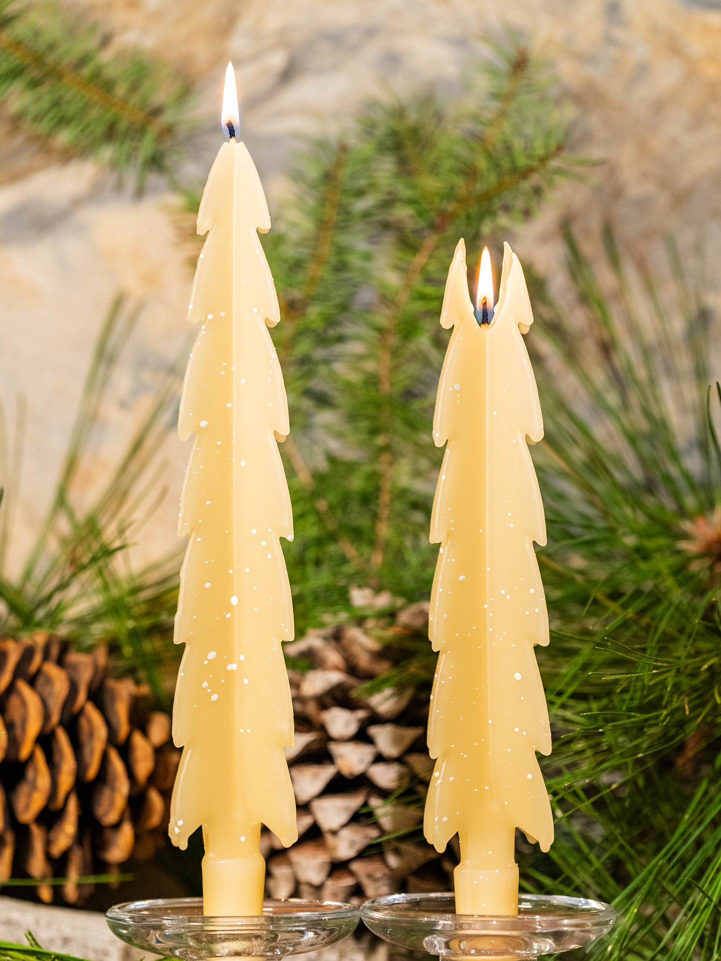 Ivory Christmas Trees