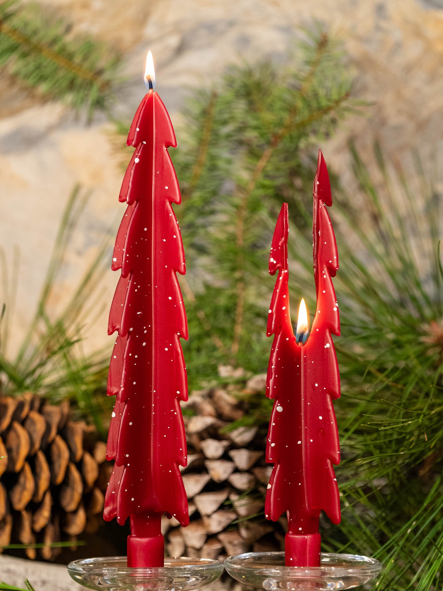 Burgundy Christmas Trees