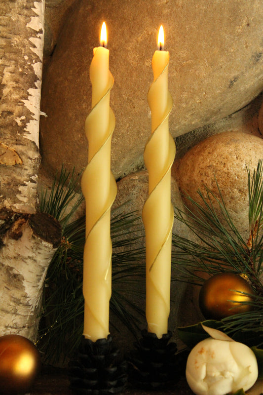 Ivory Spirals with Gold Edge